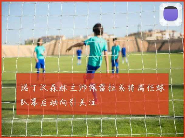 诺丁汉森林主帅佩雷拉或将离任球队幕后动向引关注