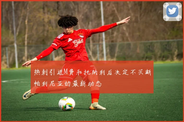 热刺引进M费和托纳利后决定不买断帕利尼亚的最新动态